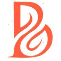 binsaleemapparel.com